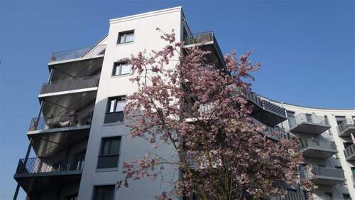 Impressionen Wohnanlage - 