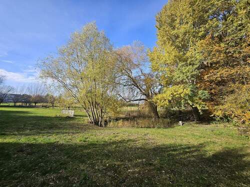 Wiese mit Wasserloch und Brunn - 