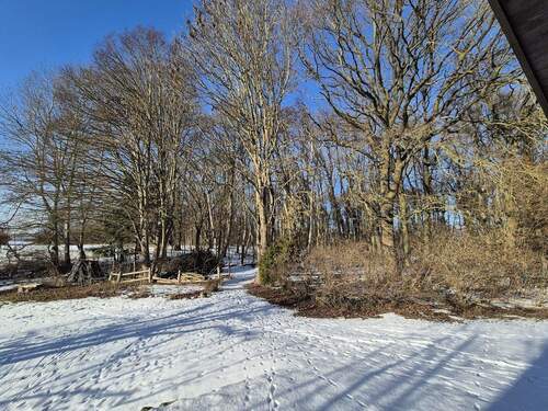 Blick vom Haus zum Waldeingang - 