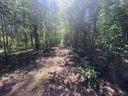 Waldweg - 