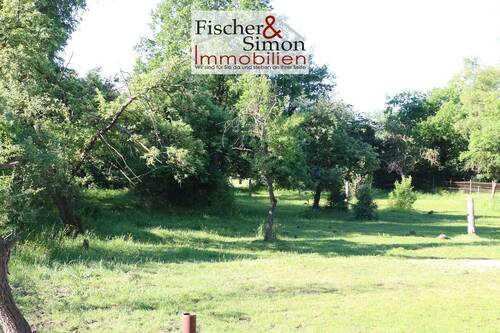 K-IMG_8941 - Grundstück in Rodewald