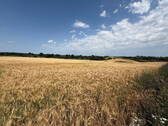 Umgebung - 