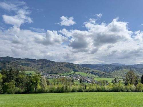 Bild 14 - 
