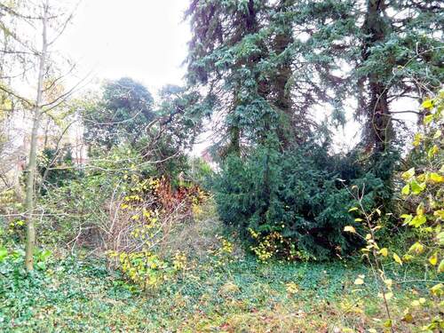 Grundstück - Grundstück in Rietschen