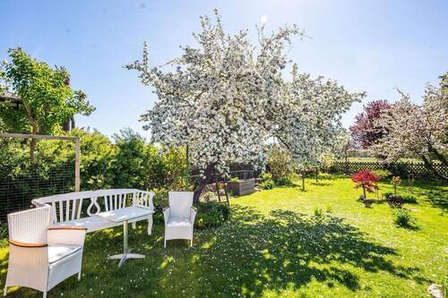 Sitzecke im Garten - Einfamilienhaus mit 145,00 m&sup2; in Seebad Ueckermünde zum Kaufen
