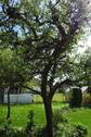 Bild 9 - 