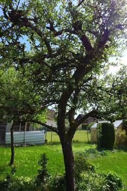Bild 9 - 