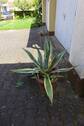 Bild 17 - 