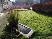 Garten vorm Haus - 