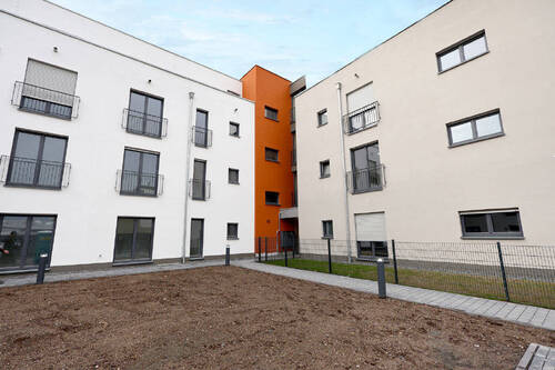 Bild11 - 