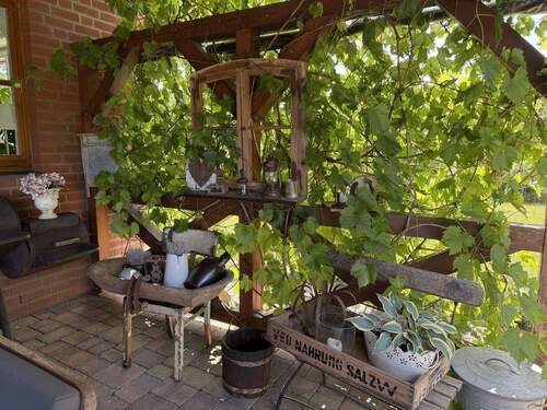 Wein als Schattenspender - 