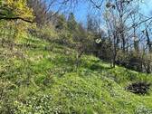 Naturgrundstück - 