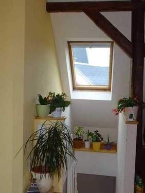 Aufg WE 1.jpg - 5 Zimmer Mehrfamilienhaus, Wohnhaus in Zeulenroda-Triebes