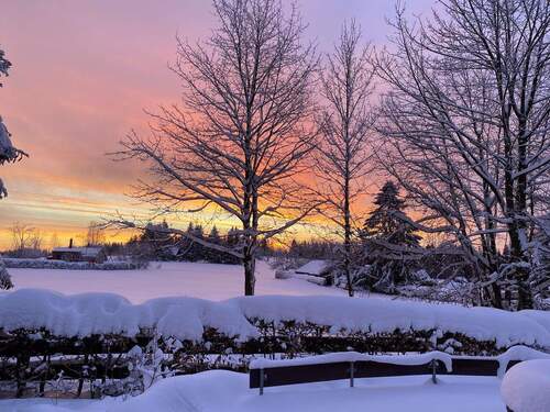 Wintertraum - Ihr charmantes Ferienhaus im Harz!