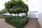HAUSEINGANG - 