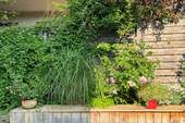 Garten im Sommer 2025 - 