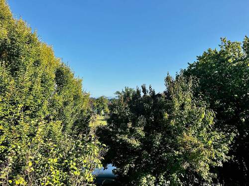 Der schöne Blick ins Grüne - 