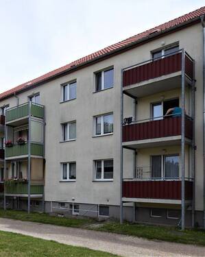 Hinteransicht - 