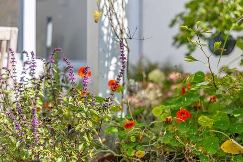 Garten - 
