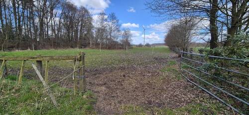 Koppel hinterm Haus - 