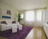 Wohnzimmer (Musterwohnung) - Etagenwohnung mit 50,60 m&sup2; in Dresden zur Miete
