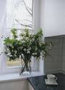 Küche (Musterwohnung) - 