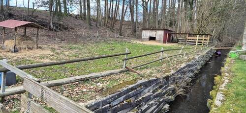 Mühlenlauf mit Schafkoppel - 