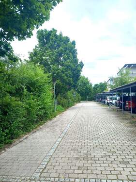 Zufahrt.jpg - 