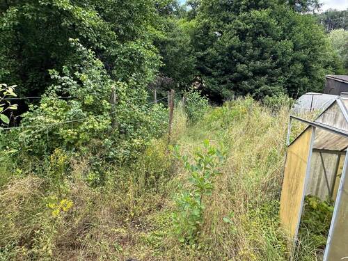 tempImage8yC5vc.jpg - 