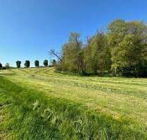 +++ Baugrundstück, Wiesengrundstück und Waldgrundstück im Paket in 06618 Schmerdorf zu verkaufen +++ - Naumburg (Saale) Flemmingen