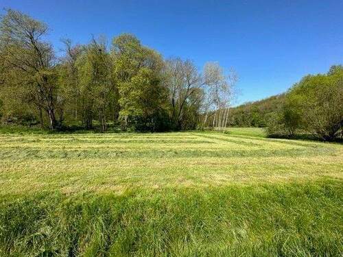 3.jpg - Grundstück in Naumburg (Saale)