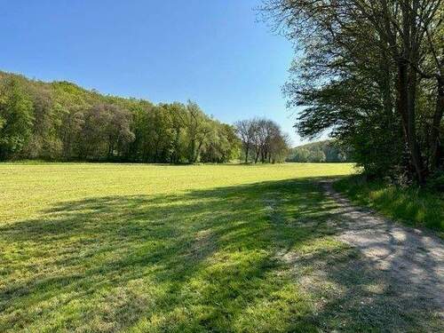 4.jpg - Grundstück in Naumburg (Saale) zum Kaufen