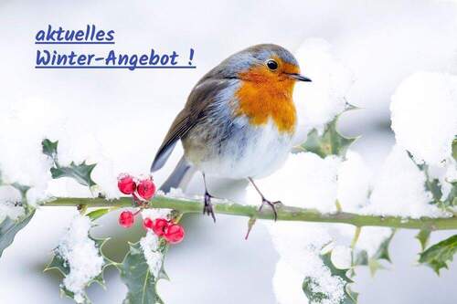 Herzlich Willkommen ... - *** reizendes 2-Familienhaus mit Einliegerwohnung und traumhaftem Garten ... ! ***