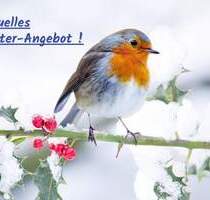 *** reizendes 2-Familienhaus mit Einliegerwohnung und traumhaftem Garten ... ! *** - Großbottwar