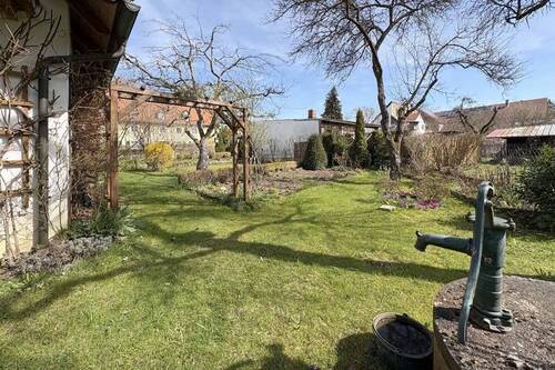 Blick in den Garten - 