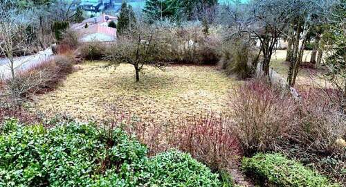 Bild2 - Grundstück zum Kaufen in Coburg