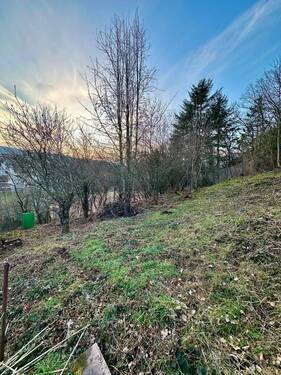 Garten seitlich #02 - 