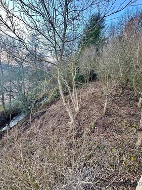 Garten seitlich #03 - 