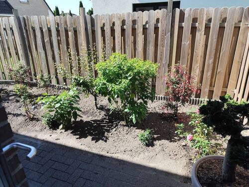 Beet vorm HWR und Küche - 