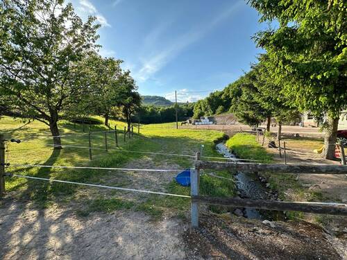 tempImageWYLwom.jpg - 