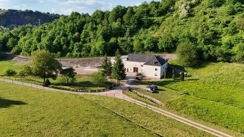 4.JPG - Mehrfamilienhaus, Wohnhaus mit 250,00 m&sup2; in Saarburg zum Kaufen