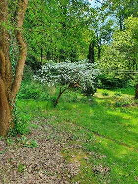 20230513_155531.jpg - Neubau: Energieeffiziente Doppelhaushälften in begehrter Lage von Heiligensee