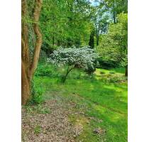 Neubau: Energieeffiziente Doppelhaushälften in begehrter Lage von Heiligensee - Berlin