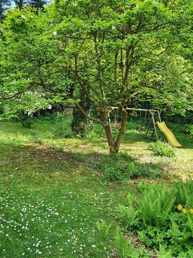 20230513_155620.jpg - 