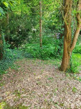 20230513_155526.jpg - 