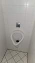 Referenzbild Pissoir - 