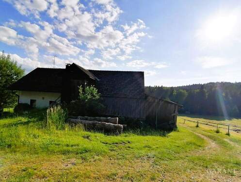IMG 20250620 183149 - Idylle pur! Bauernhaus sucht Handwerker!