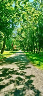 20250517_102010 Kopie.jpg - 