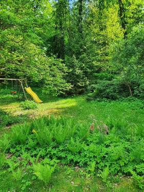 20230513_155617.jpg - NEU! Traumgrundstück in Heiligensee