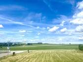 Felder neben dem MFH - 